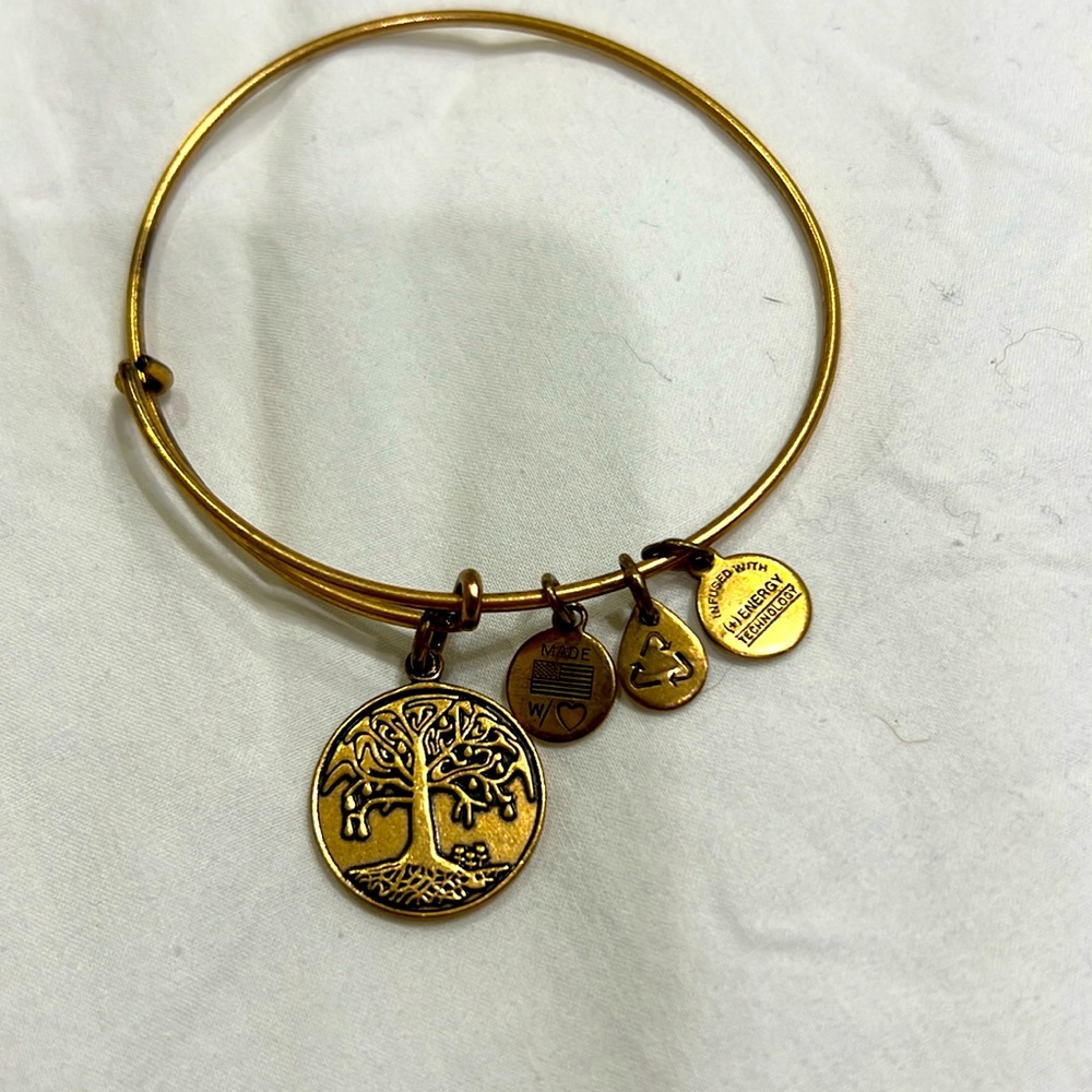 Alex and Ani Tree of life Bracelet in gold/bronze